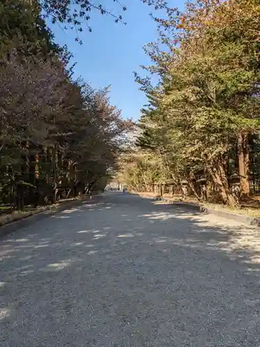 北海道神宮の景色