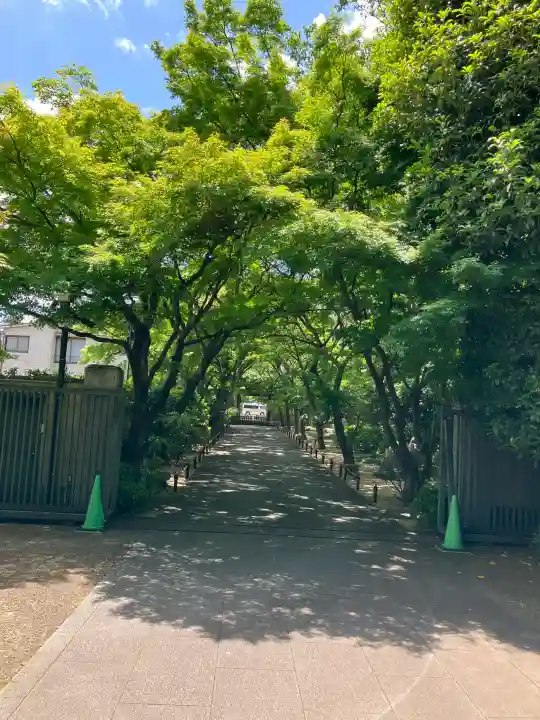 高円寺(東京都)