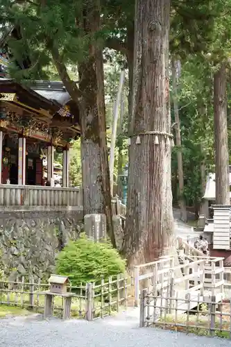 三峯神社(埼玉県)