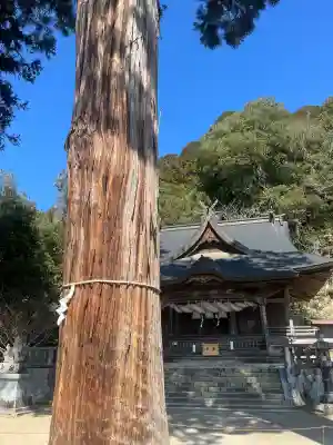 清神社の{uncategorized: "未分類", other: "その他", undefined: "問題あり", building: "その他建物", grave: "お墓", sacred_gate: "鳥居", guardian: "狛犬", statue: "像", buddha: "仏像", history: "歴史", nature: "自然", garden: "庭園", animal: "動物", pagoda: "塔", temizu: "手水舎", mountain_gate: "山門・神門", sanctuary: "本殿・本堂", subordinate: "末社・摂社", art: "芸術", scenery: "景色", jizo: "地蔵", ema: "絵馬", goshuin: "御朱印", omikuji: "おみくじ", items: "授与品その他", amulet: "お守り", goshuincho: "御朱印帳", eats: "食事", festival: "お祭り", votive_dance: "神楽", shichigosan: "七五三参", wedding: "結婚式", experience: "体験その他", initially: "初詣", around: "周辺", anti_infection: "感染症対策"}