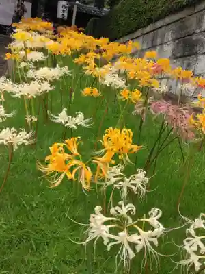 横浜　西方寺(神奈川県)