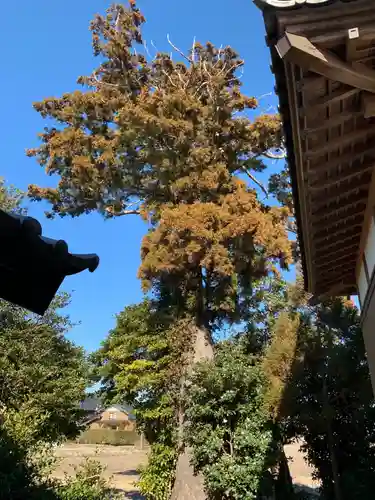 水婆神社(千葉県)
