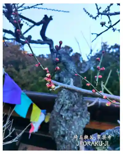 【公式】龍門院常楽寺（秩父札所十一番）(埼玉県)