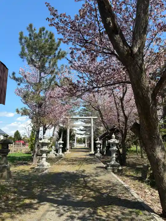 西当別神社の{uncategorized: "未分類", other: "その他", undefined: "問題あり", building: "その他建物", grave: "お墓", sacred_gate: "鳥居", guardian: "狛犬", statue: "像", buddha: "仏像", history: "歴史", nature: "自然", garden: "庭園", animal: "動物", pagoda: "塔", temizu: "手水舎", mountain_gate: "山門・神門", sanctuary: "本殿・本堂", subordinate: "末社・摂社", art: "芸術", scenery: "景色", jizo: "地蔵", ema: "絵馬", goshuin: "御朱印", omikuji: "おみくじ", items: "授与品その他", amulet: "お守り", goshuincho: "御朱印帳", eats: "食事", festival: "お祭り", votive_dance: "神楽", shichigosan: "七五三参", wedding: "結婚式", experience: "体験その他", initially: "初詣", around: "周辺", anti_infection: "感染症対策"}