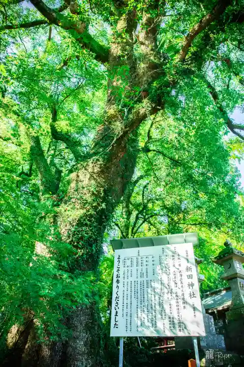 新田神社(鹿児島県)