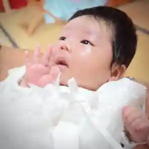 鹿嶋三嶋神社(茨城県)(2024年09月06日(金) 08時10分47秒投稿)