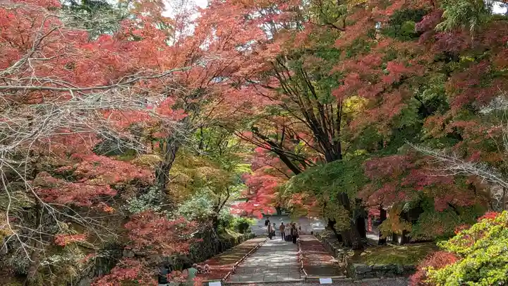 毘沙門堂門跡(京都府)