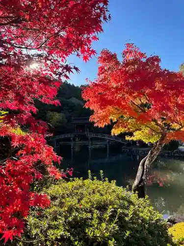 永保寺の自然