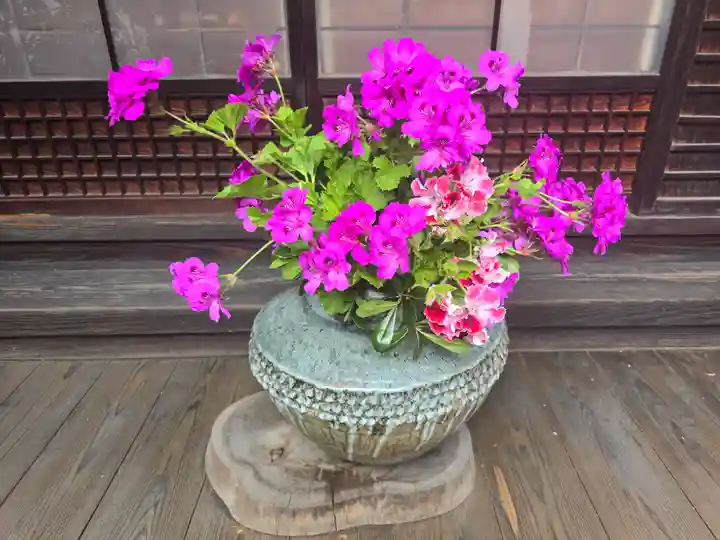 長宝寺(大阪府)