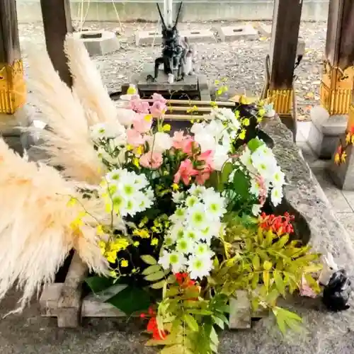 彌彦神社　(伊夜日子神社)の手水舎