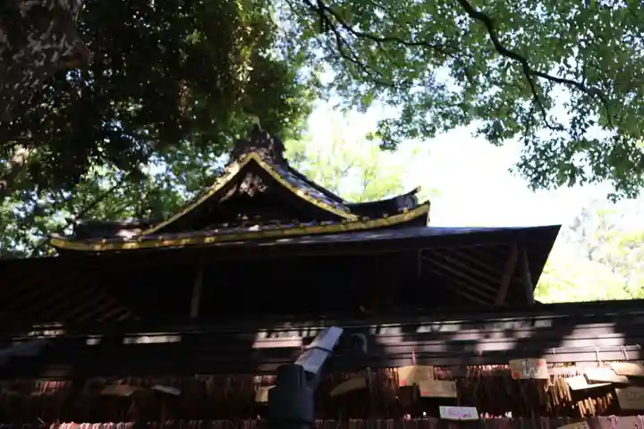 川越氷川神社(埼玉県)