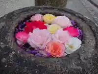 松尾神社(三重県)