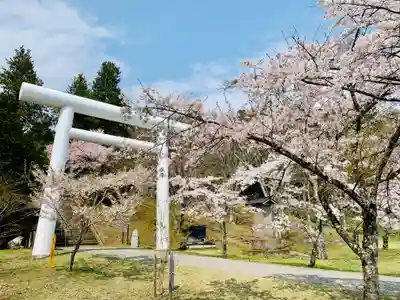 土津神社|こどもと出世の神さまの鳥居