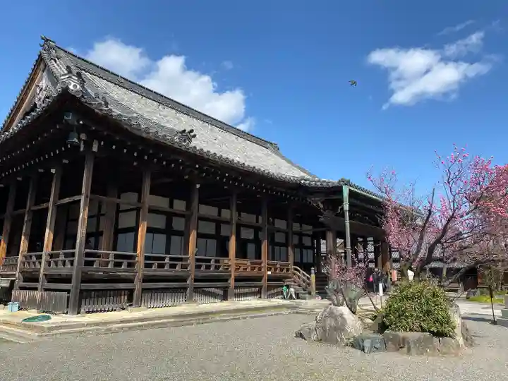 大通寺(長浜御坊)(滋賀県)