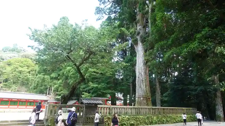 霧島神宮(鹿児島県)