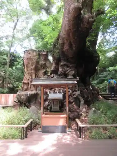 來宮神社のその他建物