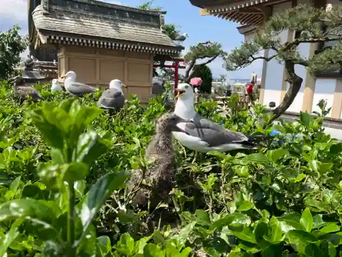 蕪嶋神社(青森県)