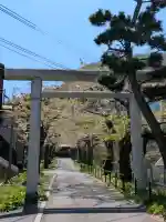 住三吉神社の{uncategorized: "未分類", other: "その他", undefined: "問題あり", building: "その他建物", grave: "お墓", sacred_gate: "鳥居", guardian: "狛犬", statue: "像", buddha: "仏像", history: "歴史", nature: "自然", garden: "庭園", animal: "動物", pagoda: "塔", temizu: "手水舎", mountain_gate: "山門・神門", sanctuary: "本殿・本堂", subordinate: "末社・摂社", art: "芸術", scenery: "景色", jizo: "地蔵", ema: "絵馬", goshuin: "御朱印", omikuji: "おみくじ", items: "授与品その他", amulet: "お守り", goshuincho: "御朱印帳", eats: "食事", festival: "お祭り", votive_dance: "神楽", shichigosan: "七五三参", wedding: "結婚式", experience: "体験その他", initially: "初詣", around: "周辺", anti_infection: "感染症対策"}