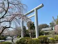 櫻木神社の鳥居