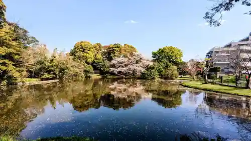 菊田神社の周辺
