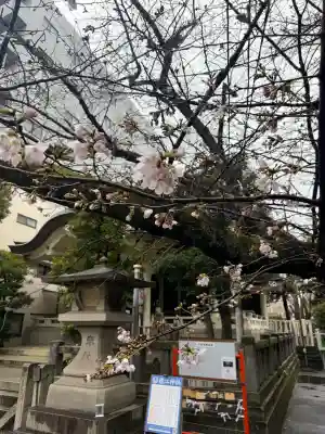 猿江神社の{uncategorized: "未分類", other: "その他", undefined: "問題あり", building: "その他建物", grave: "お墓", sacred_gate: "鳥居", guardian: "狛犬", statue: "像", buddha: "仏像", history: "歴史", nature: "自然", garden: "庭園", animal: "動物", pagoda: "塔", temizu: "手水舎", mountain_gate: "山門・神門", sanctuary: "本殿・本堂", subordinate: "末社・摂社", art: "芸術", scenery: "景色", jizo: "地蔵", ema: "絵馬", goshuin: "御朱印", omikuji: "おみくじ", items: "授与品その他", amulet: "お守り", goshuincho: "御朱印帳", eats: "食事", festival: "お祭り", votive_dance: "神楽", shichigosan: "七五三参", wedding: "結婚式", experience: "体験その他", initially: "初詣", around: "周辺", anti_infection: "感染症対策"}