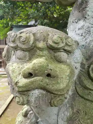 清水八幡神社の狛犬