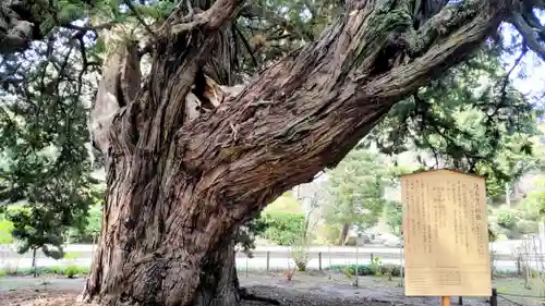 建長寺(神奈川県)