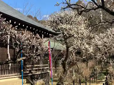 本土寺(千葉県)