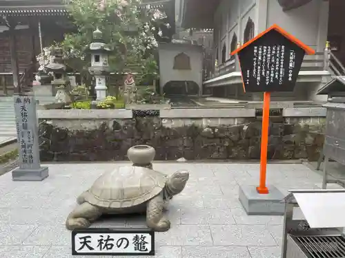 雲辺寺(徳島県)