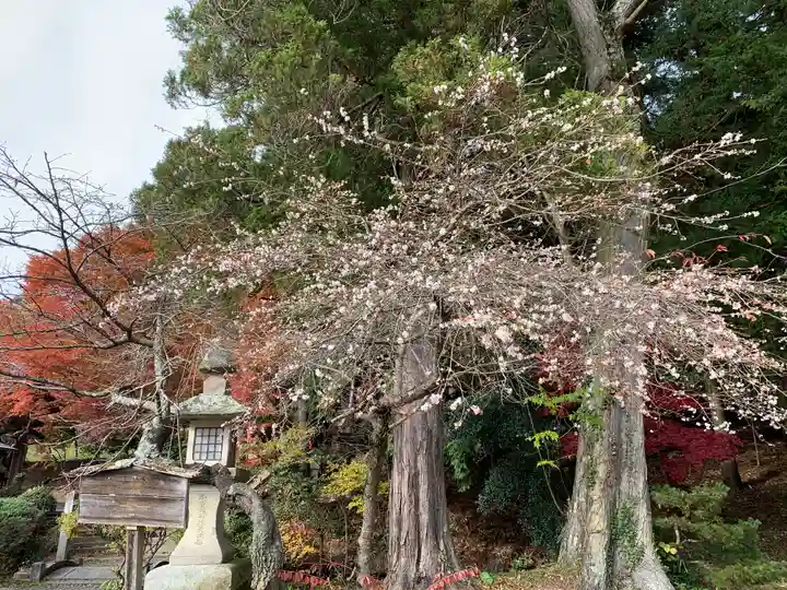 鹿島大神宮(福島県)