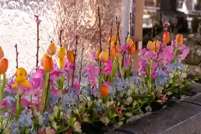宮地嶽神社(福岡県)