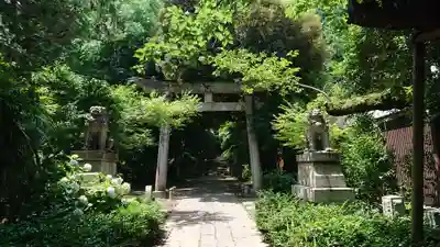 赤坂氷川神社の鳥居