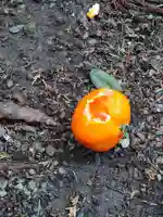 諏訪神社のその他建物