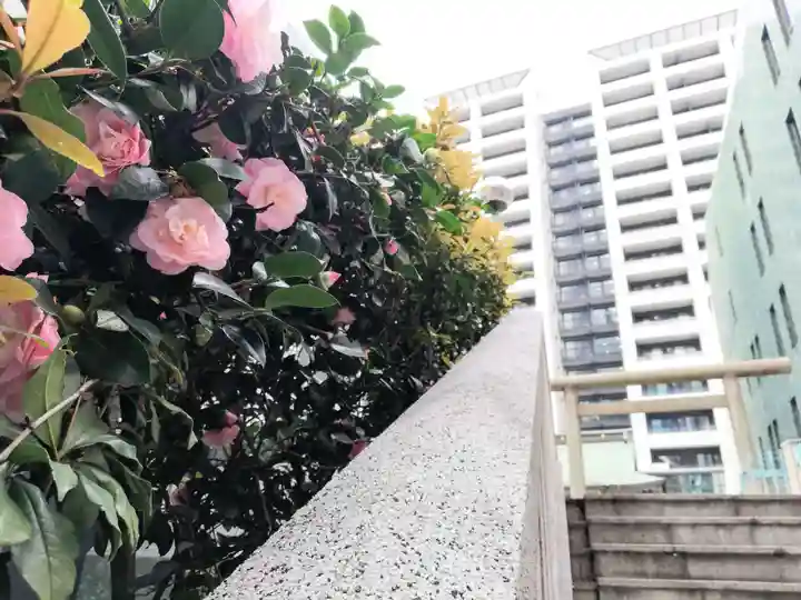 宮益御嶽神社の自然