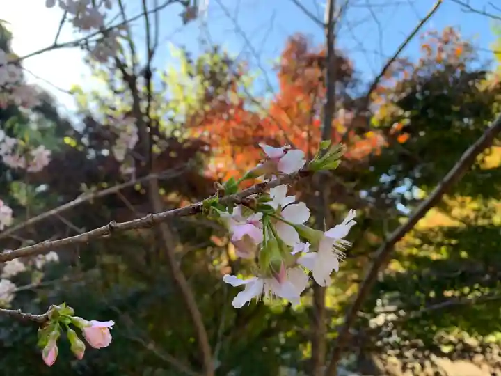 普門寺(切り絵御朱印発祥の寺)(愛知県)