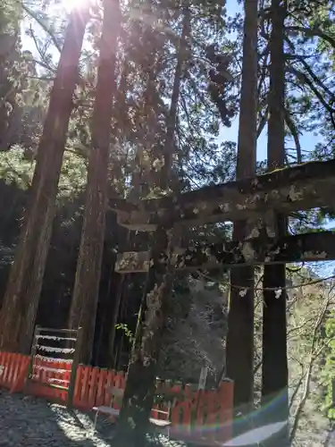 鳳来山東照宮(愛知県)