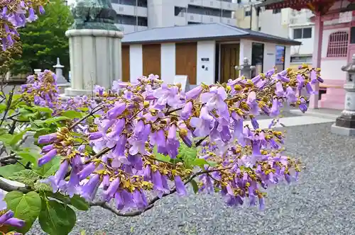 津観音(三重県)