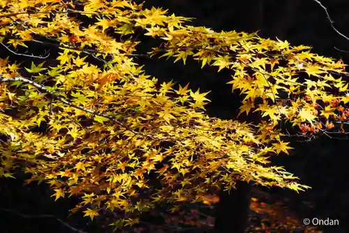 猿丸神社(京都府)