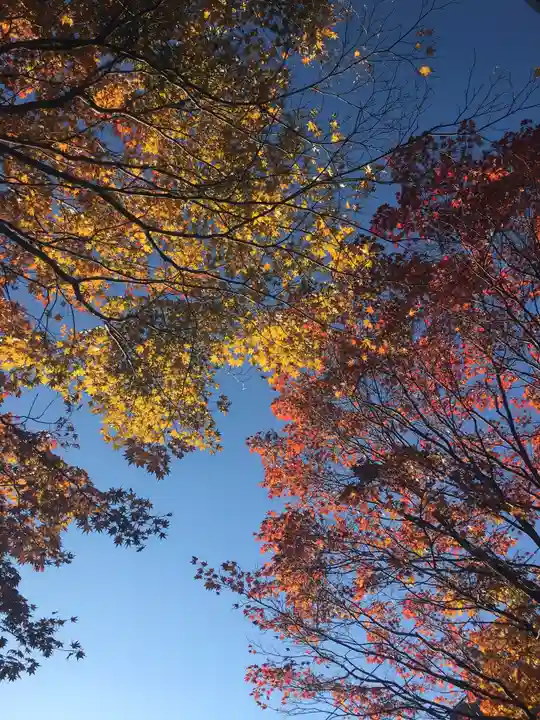 豊平神社の自然