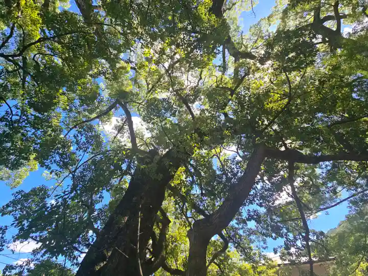 藤白神社(和歌山県)