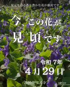 宝光寺(北海道)(2025年04月29日(火) 09時46分38秒投稿)