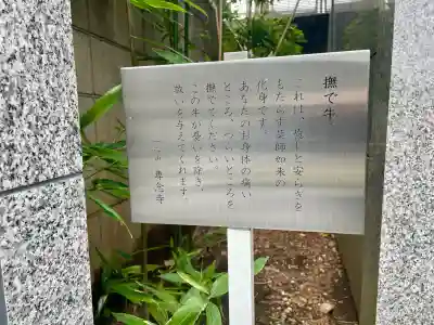 専念寺の{uncategorized: "未分類", other: "その他", undefined: "問題あり", building: "その他建物", grave: "お墓", sacred_gate: "鳥居", guardian: "狛犬", statue: "像", buddha: "仏像", history: "歴史", nature: "自然", garden: "庭園", animal: "動物", pagoda: "塔", temizu: "手水舎", mountain_gate: "山門・神門", sanctuary: "本殿・本堂", subordinate: "末社・摂社", art: "芸術", scenery: "景色", jizo: "地蔵", ema: "絵馬", goshuin: "御朱印", omikuji: "おみくじ", items: "授与品その他", amulet: "お守り", goshuincho: "御朱印帳", eats: "食事", festival: "お祭り", votive_dance: "神楽", shichigosan: "七五三参", wedding: "結婚式", experience: "体験その他", initially: "初詣", around: "周辺", anti_infection: "感染症対策"}