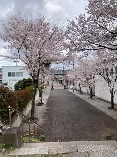 八雲神社(栃木県)