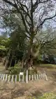 一ノ宮神社(滋賀県)