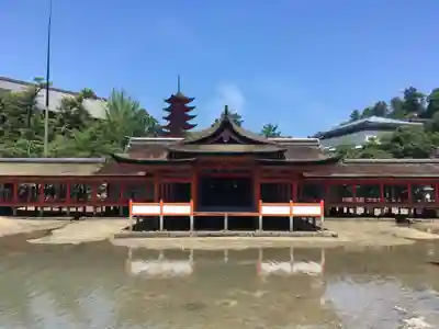 厳島神社の本殿・本堂
