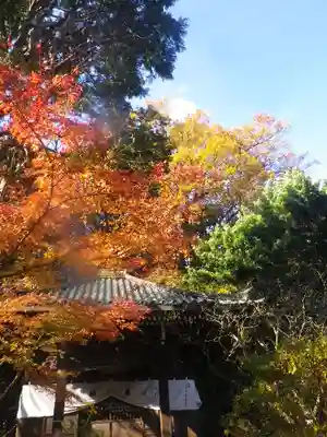 安國論寺（安国論寺）のその他建物
