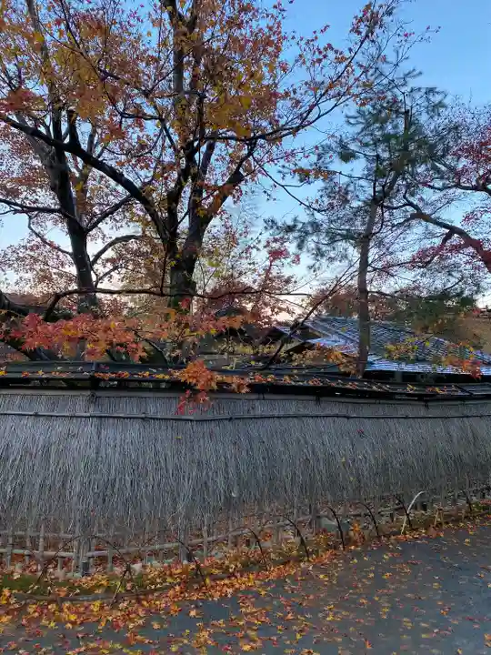 宝厳院(京都府)