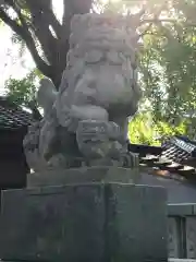 小杉神社の狛犬