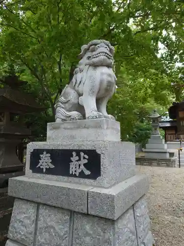 神楽神社の狛犬