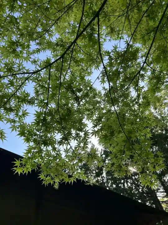 滑川神社 - 仕事と子どもの守り神(福島県)